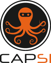 Logo CAPSI
